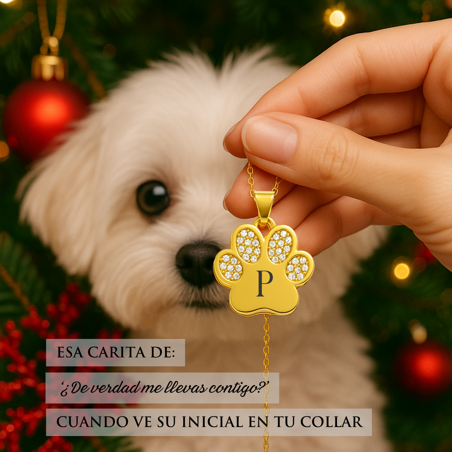 Colgante Huella Inicial Perro